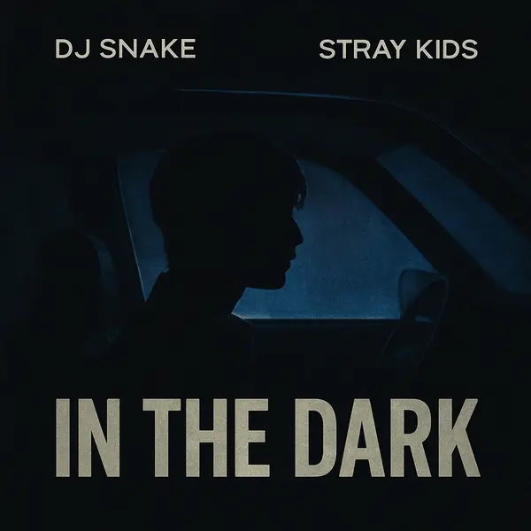 DJ Snake & Stray Kids - In The Dark Ringtone Download Cover Art